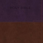 KJV, Know the Word Study Bible, Imitation Leather, Purple/Brown, Indexed, Red Letter Edition: Gain a Greater Understanding of the Bible Book by Book, Verse by Verse, or Topic by Topic