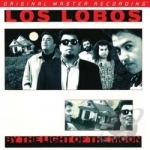 By the Light of the Moon by Los Lobos