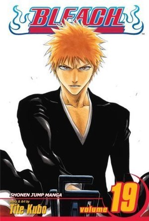 Bleach Vol. 19: The Black Moon Rising 