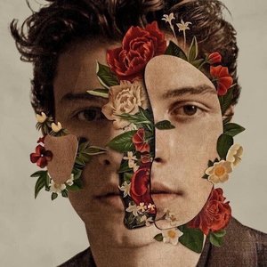 Shawn Mendes by Shawn Mendes