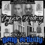 186.22 Gang Activity by Empire Riderz