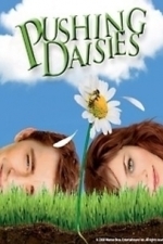 Pushing Daisies  - Season 1