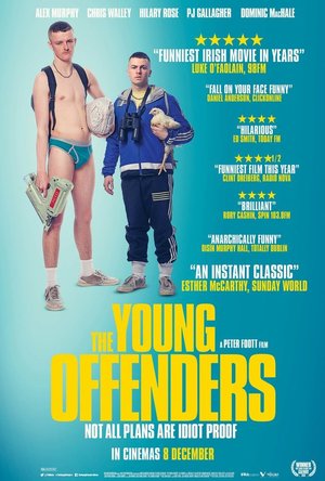 The Young Offenders (2016)