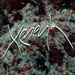Xenoula by Xenoula