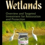 Wetlands: Overview and Targeted Investment for Restoration and Protection