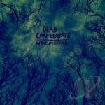 In the Marrow by Dead Confederate