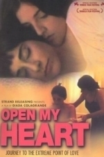 Open My Heart (2004)