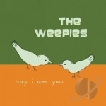 Say I Am You by The Weepies