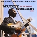 At Newport by Muddy Waters