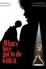 What&#039;s Love Got To Do With It? (1993)