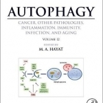 Autophagy: Cancer, Other Pathologies, Inflammation, Immunity, Infection, and Aging: Volume 12