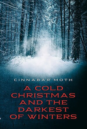 A Cold Christmas and the Darkest of Winters