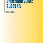 Undergraduate Algebra