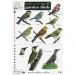 Guide to the Top 50 Garden Birds