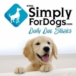 SimplyForDogs|Franklin Medina discusses the latest dog tips,  dog strategies, dog training,  and everything related to dogs