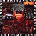 Extreme Conditions Demand Extreme Responses by Brutal Truth