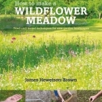 How to Make a Wildflower Meadow