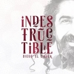 Indestructible by Diego El Cigala