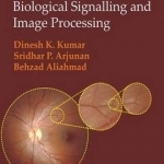 Fractals: Applications in Biological Signalling and Image Processing