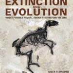 Extinction and Evolution: What Fossils Reveal About the History of Life