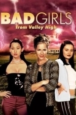The Bad Girls From Valley High (2005)