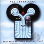 What Does Anything Mean? Basically by The Chameleons UK