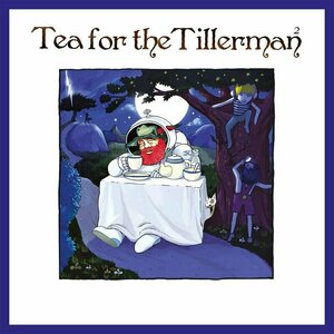 Tea for the Tillerman 2 by Cat Stevens