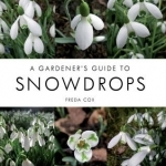 A Gardener's Guide to Snowdrops