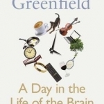 A Day in the Life of the Brain: The Neuroscience of Consciousness from Dawn Till Dusk