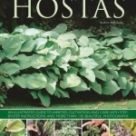 Hostas: an Illustrated Guide to Varieties, Cultivation and Care, with Step-by-step Instructions and More Than 130 Beautiful Photographs