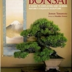 The Beauty of Bonsai: A Guide to Displaying and Viewing