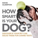 How Smart is Your Dog?: Discover If Your Pet Can Solve These Fun Canine Tests