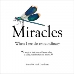 Miracles: When I See the Extraordinary