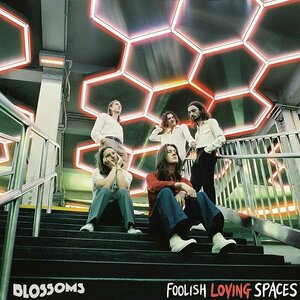 Foolish Loving Spaces by Blossoms 