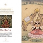 Beauty, Power and Grace: The Book of Hindu Goddesses