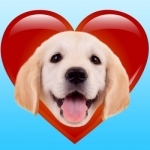 LabLoveMoji - Stickers &amp; Keyboard for Labradors