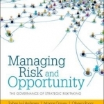 Managing Risk and Opportunity: The Governance of Strategic Risk-Taking