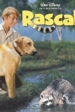 Rascal (1969)