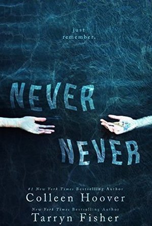 Never Never (Never Never, #1) 