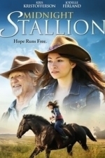 Midnight Stallion (2013)