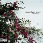 What Is Love? by Never Shout Never