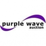 Purple Wave&#039;s Auction Podcast