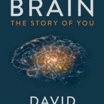 The Brain: The Story of You