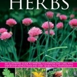 Herbs: An Illustrated Guide to Varieties, Cultivation and Care, with Step-by-step Instructions and Over 160 Beautiful Photographs