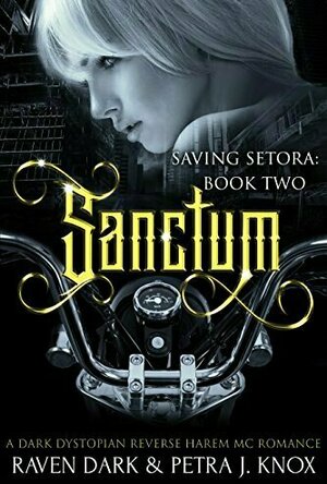 Sanctum (Saving Setora #2)
