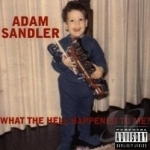 What the Hell Happened to Me? by Adam Sandler