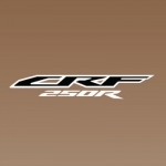 CRF250R-Honda BigWing