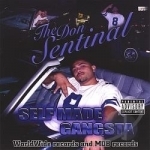 Self Made Gangster by Don Sentinal
