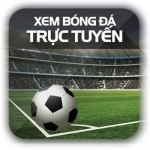 Trực tiếp bóng đá