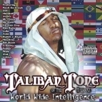 World Wide Intelligence by Taliban Tone